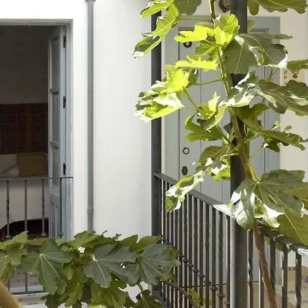Maison d'hôtes La Botica De Vejer *