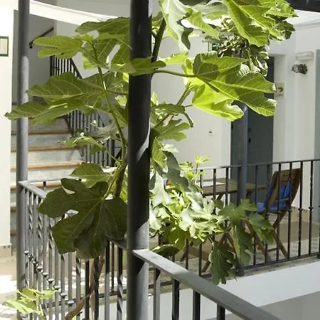 Pensión La Botica De Vejer *