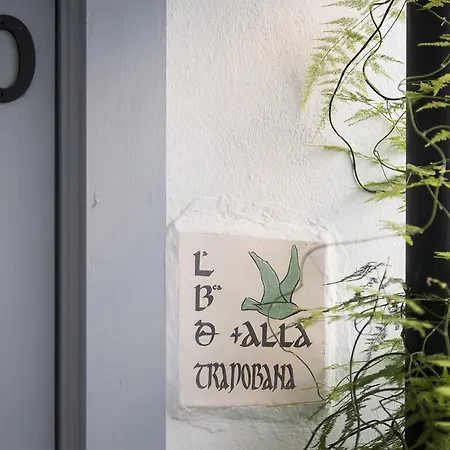 Pensionat La Botica De Vejer